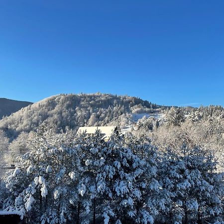 Panska Hata Яремча Экстерьер фото